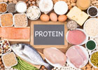 PROTEINS